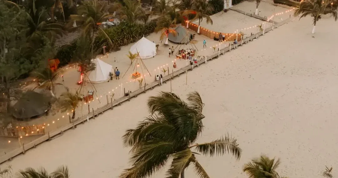 Aerial view of the camp: tents and walkways among the palms, with the beach beyond