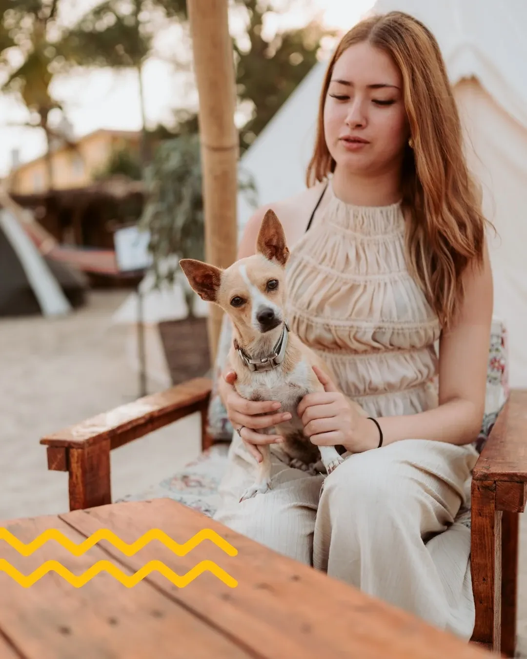 A guest sitting in the lounge holding her dog, with the tents behind